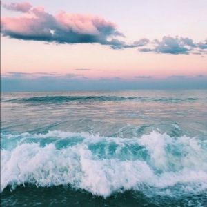 Meet your Posher, Riley